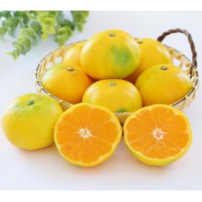 湯の花　温州みかん5kg箱