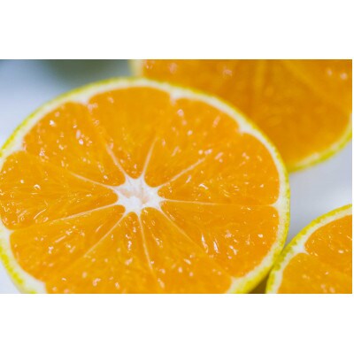 湯の花　温州みかん5kg箱