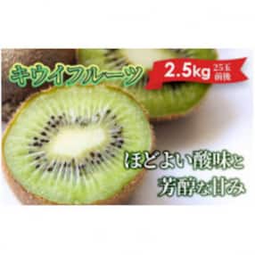 湯の花のキウイフルーツ2.5kg