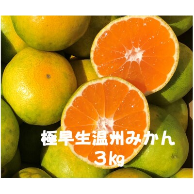 湯の花の極早生温州みかん3kg