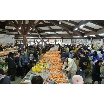 湯の花の極早生温州みかん3kg
