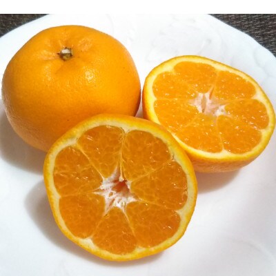 湯の花のはるみ3kg