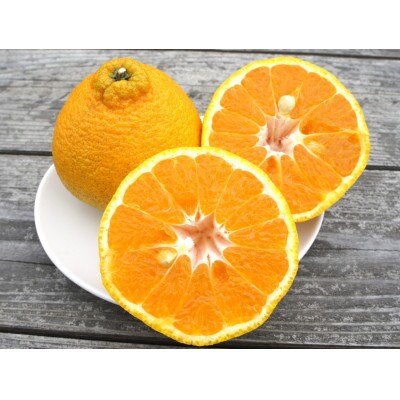 湯の花の不知火3kg