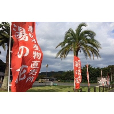 湯の花の不知火3kg
