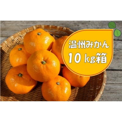 湯の花　温州みかん10kg箱