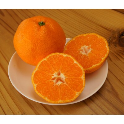 湯の花　温州みかん10kg箱