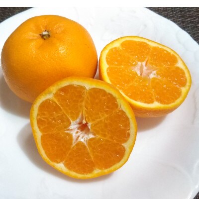 【先行受付】湯の花　はるみ10kg箱