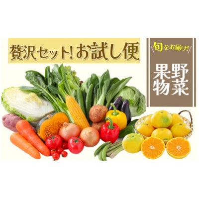 湯の花　旬の野菜と果物セット