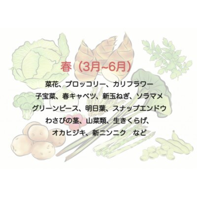 湯の花　旬の野菜と果物セット
