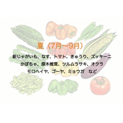湯の花　旬の野菜と果物セット