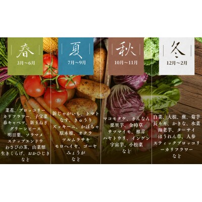 湯の花 旬の野菜セット 9～11品