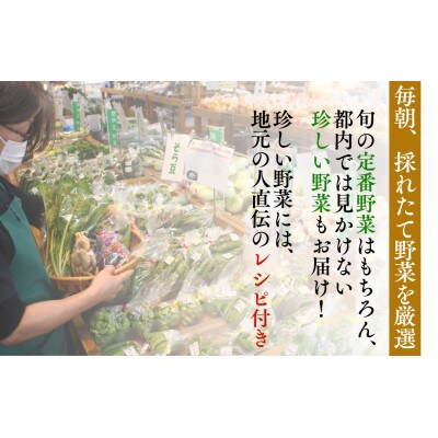 湯の花 旬の野菜セット 9～11品