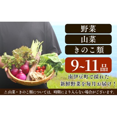 湯の花 旬の野菜セット 9～11品