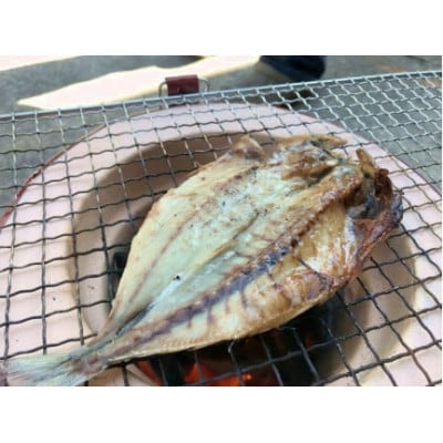 【毎月定期便】湯の花 干物6種セット全2回