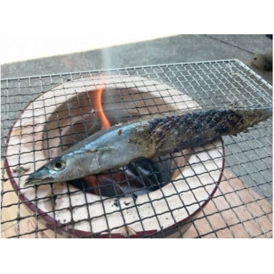 【毎月定期便】湯の花 干物6種セット全2回