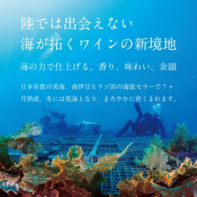 海底で熟成されたワイン SUBRINA ACT5 2021