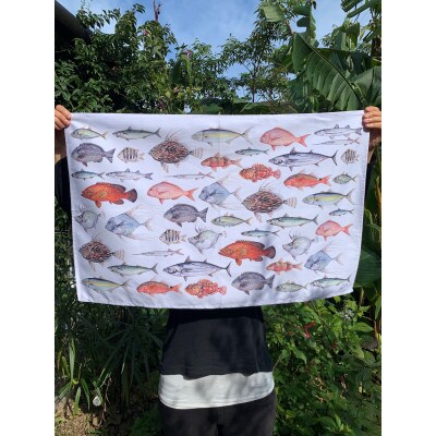 伊豆の自然　温帯魚のティータオル、マグカップとコースターセット (A)