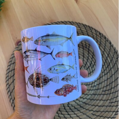 伊豆の自然　温帯魚のマグカップとコースターセット(A)