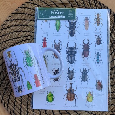 伊豆の自然　虫好きのマグカップとポスター3枚セット