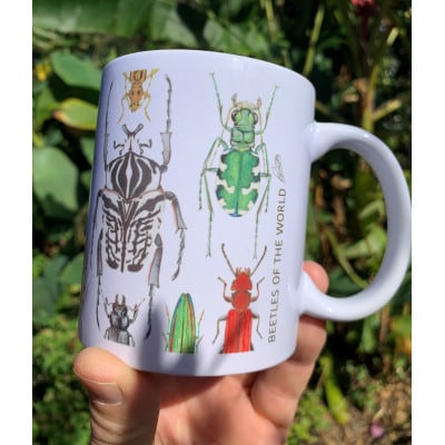 伊豆の自然　虫好きのマグカップとポスター3枚セット