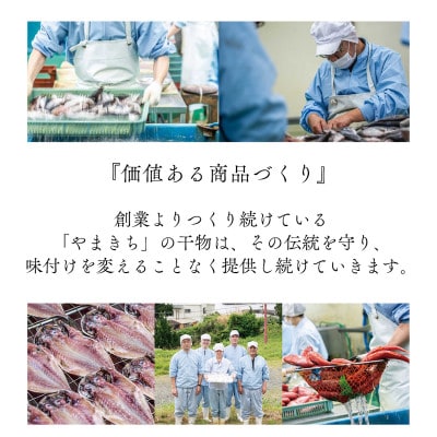 個別パックで鮮度長持ち!やまきちの厳選ひもの詰め合わせ 4種