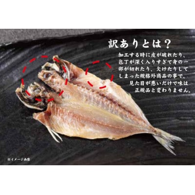 味は本物!見た目は訳あり  やまきちの【訳あり】真あじひもの40枚 (2.0kg以上)