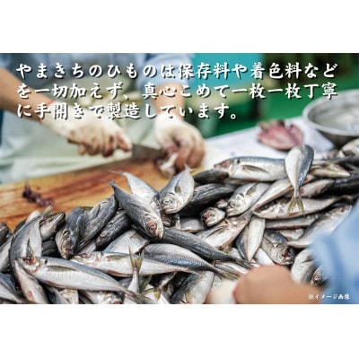 味は本物!見た目は訳あり  やまきちの【訳あり】真あじひもの40枚 (2.0kg以上)