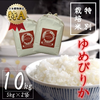 【特別栽培米】北海道深川産米ゆめぴりか(精米)10kg(5kg×2袋)