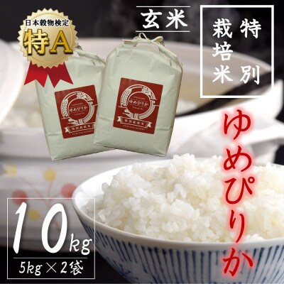 【特別栽培米】北海道深川産米ゆめぴりか(玄米)10kg(5kg×2袋)