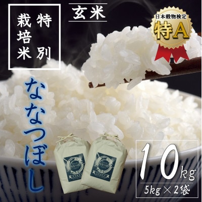 【特別栽培米】北海道深川産米ななつぼし(玄米) 10kg(5kg×2袋)