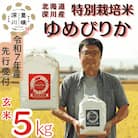 【特別栽培米】北海道深川産米ゆめぴりか(玄米)5kg <令和7年産先行受付>
