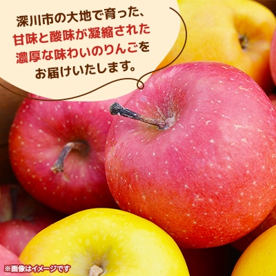 【令和7年産先行受付】北海道深川市産りんご(つがる)5kg【ふるさと納税】