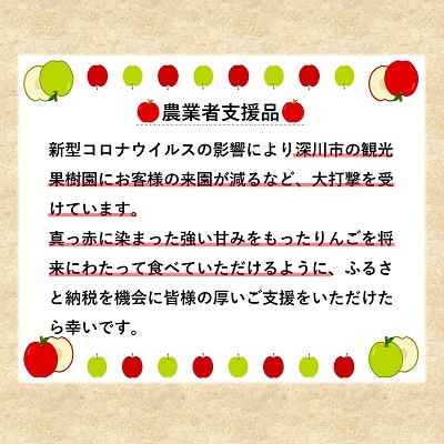 【令和7年産先行受付】北海道深川市産りんご(つがる)5kg【ふるさと納税】
