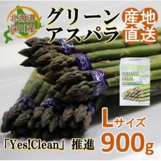 〈令和6年産〉グリーンアスパラガスLサイズ900g(春の味覚)【2024年5月より順次発送】