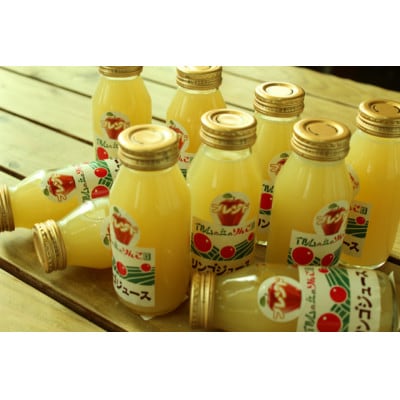 北海道深川産りんごジュース　180ml×10本セット