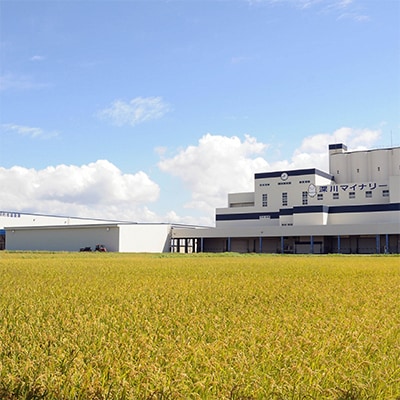 【令和7年産先行受付】北海道深川産ゆめぴりか10kg(5kg×2袋)(普通精米)