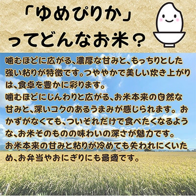 【令和7年産】北海道深川産　ゆめぴりか3kg(1kg×3袋)精米　特A　美味しいお米　小分け