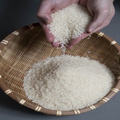令和8年産 新米 北海道深川産 ゆめぴりか 5kg×1袋