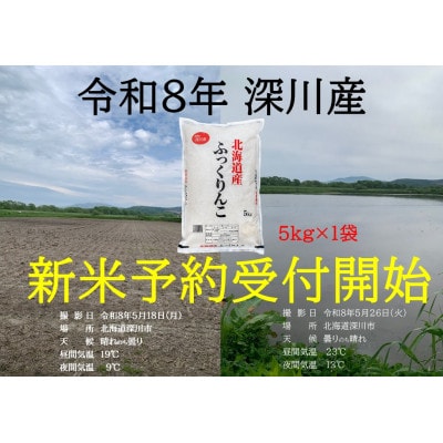 令和8年産 新米予約受付開始!! 北海道深川産 ふっくりんこ 精米 5kg×1袋