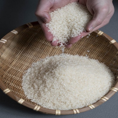 令和8年 北海道深川産 ななつぼし 5kg×2袋