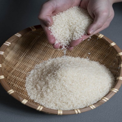 【発送月固定定期便】ゆめぴりか　5kg(1カ月周期)全3回