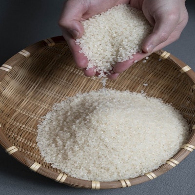 【発送月固定定期便】ゆめぴりか　5kg×2袋(10kg)(1カ月周期)全3回