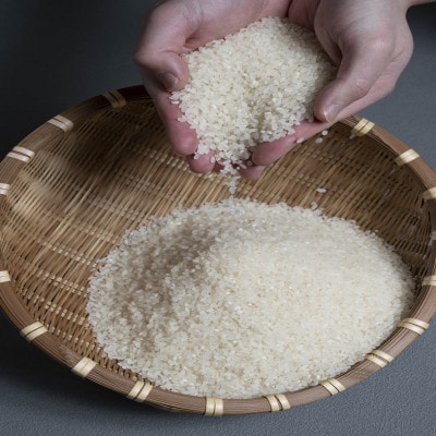 【発送月固定定期便】ななつぼし 5kg×2袋(10kg)(1カ月周期)全3回