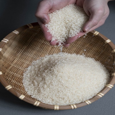 【発送月固定定期便】ふっくりんこ 5kg×1袋(5kg) (1カ月周期)全3回