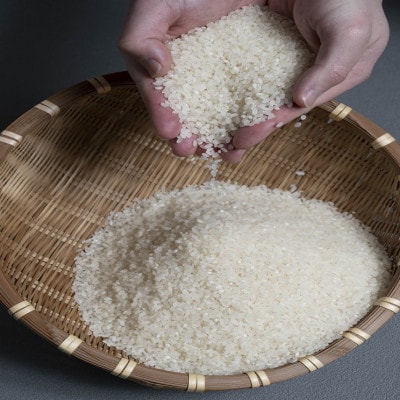 【発送月固定定期便】ふっくりんこ 5kg×2袋(10kg) (1カ月周期)全3回