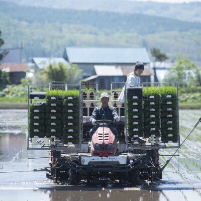 北海道産ゆめぴりか 栽培期間中農薬・化学肥料不使用 白米5kg
