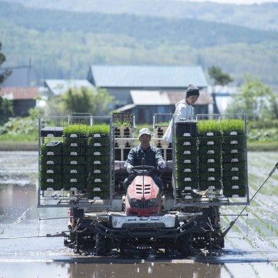 北海道産 特別栽培米ゆめぴりか 白米5kg
