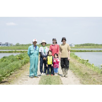 北海道産 特別栽培米ななつぼし 白米 5kg×2袋