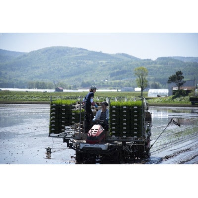 【毎月定期便】【2ヶ月定期便】北海道産 特別栽培米ゆめぴりか(玄米) 5kg全2回