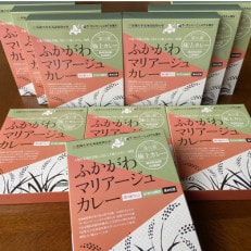 ふかがわマリアージュカレー 10個入り